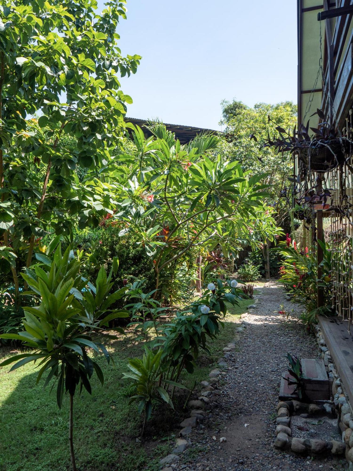 Nuba Boutique Hostel Palomino Zewnętrze zdjęcie